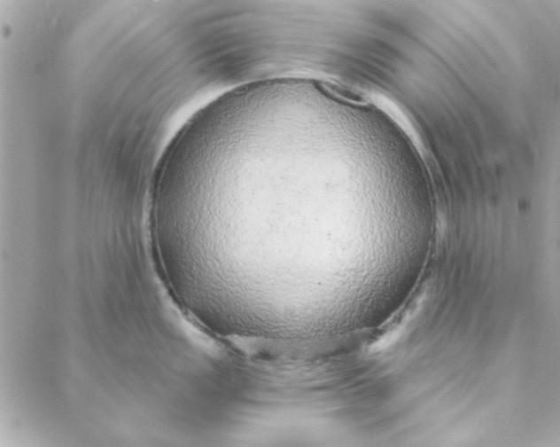 X0000088181149200706051135