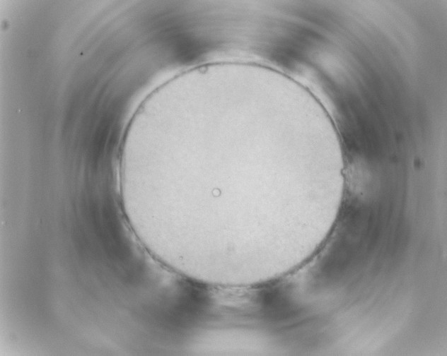 X0000088181150200706051135