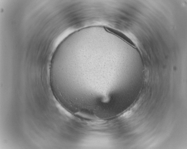 X0000088181151200706051135