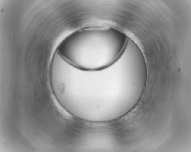 X0000088181152200706051135