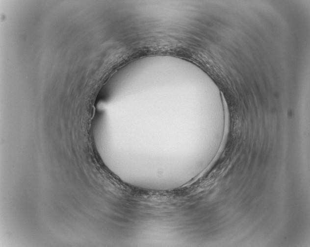 X0000088181153200706051134