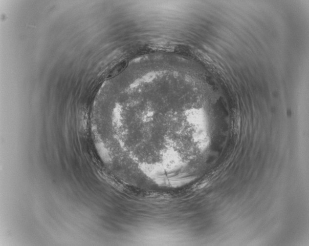 X0000088181154200706051134