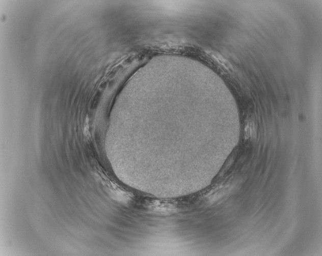 X0000088181156200706051134