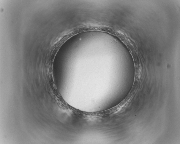 X0000088181157200706051134