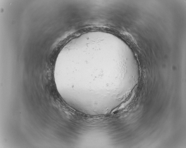 X0000088181159200706051134