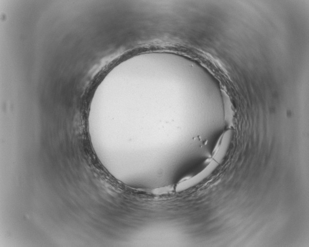 X0000088181160200706051134