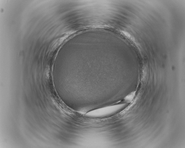 X0000088181161200706051134