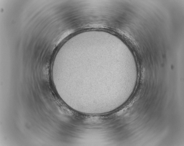 X0000088181162200706051134