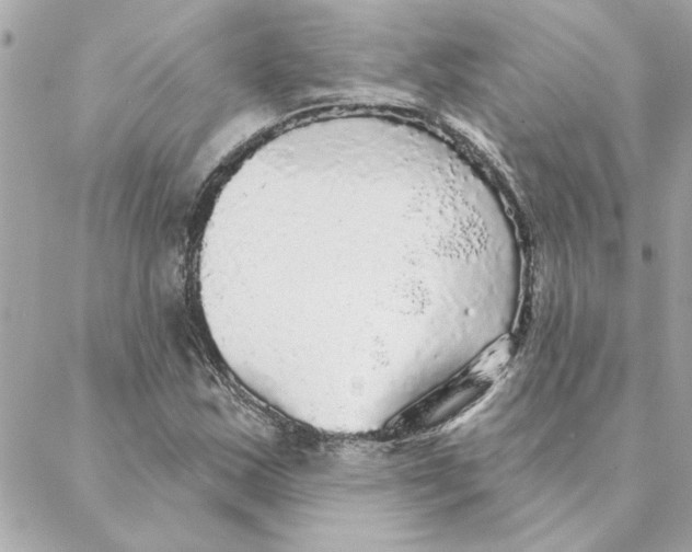 X0000088181163200706051134