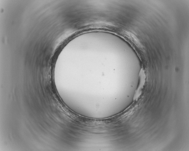 X0000088181164200706051134