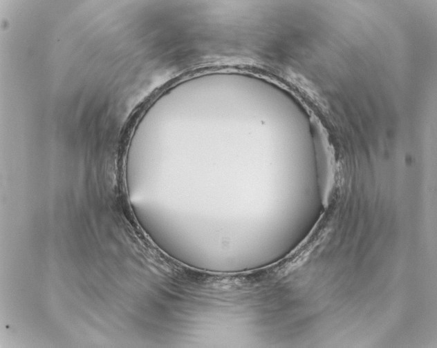 X0000088181165200706051134