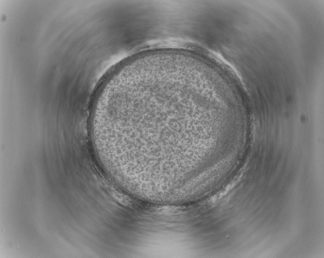 X0000088181166200706051134