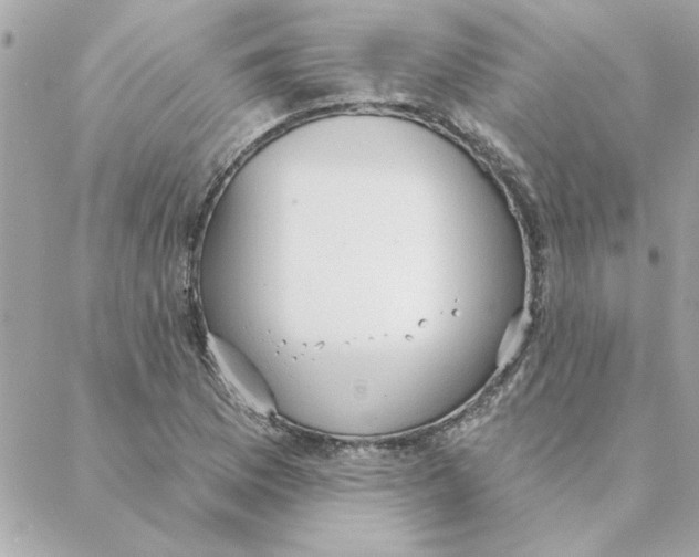 X0000088181169200706051134