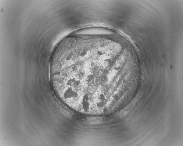 X0000088181171200706051134