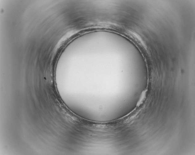 X0000088181172200706051134