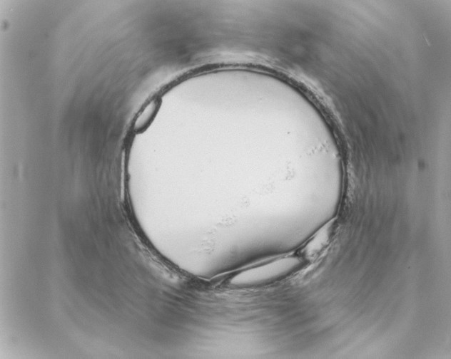 X0000088181175200706051134