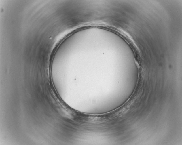 X0000088181176200706051134