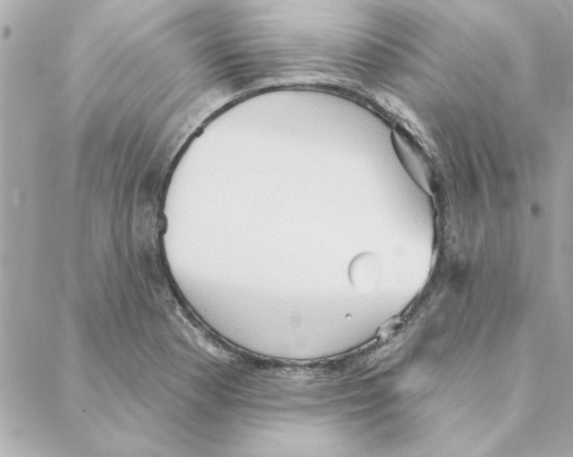 X0000088181177200706051134