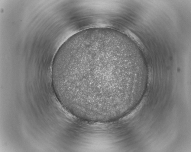 X0000088181178200706051134