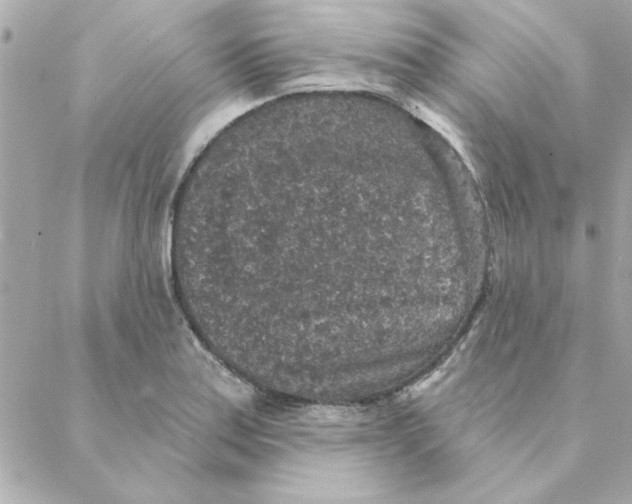 X0000088181179200706051134