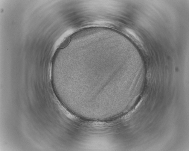 X0000088181180200706051134