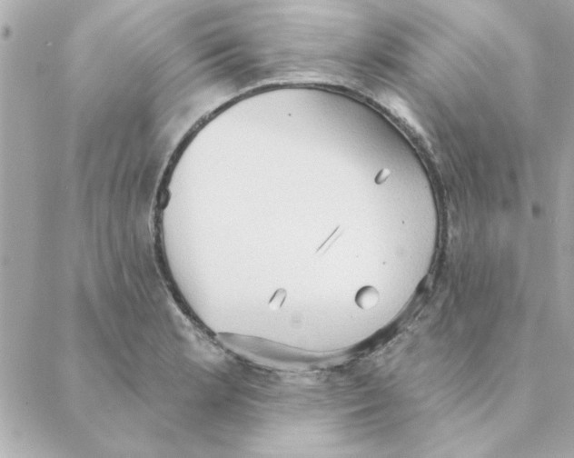 X0000088181181200706051134