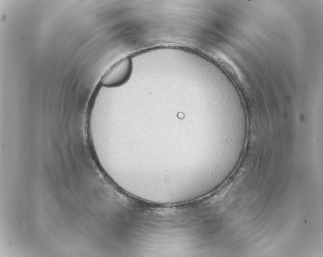 X0000088181182200706051134