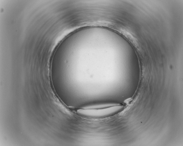 X0000088181184200706051134