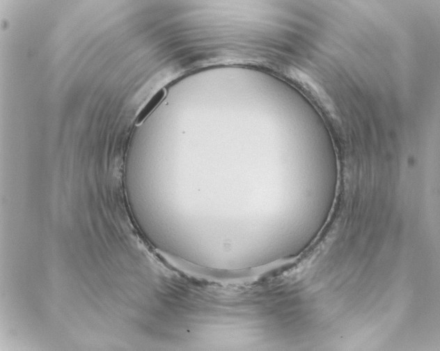 X0000088181185200706051134