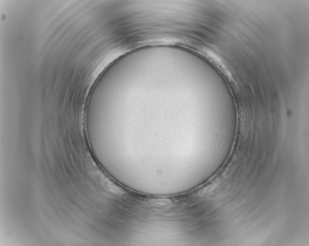 X0000088181186200706051134