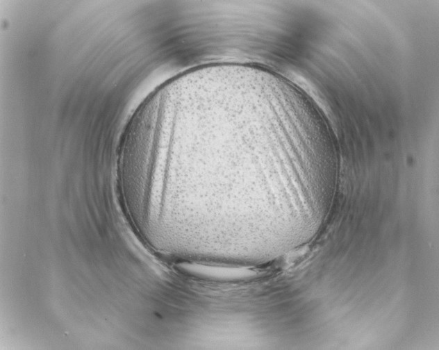 X0000088181187200706051134