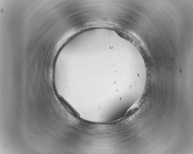 X0000088181188200706051134