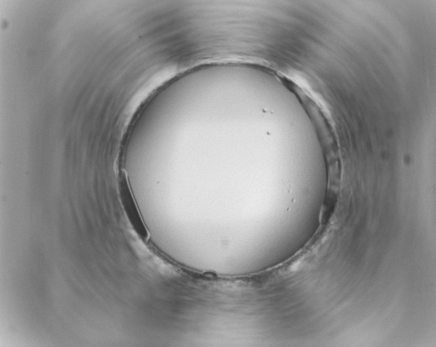 X0000088181189200706051134