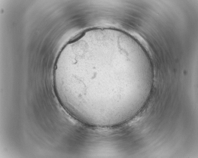 X0000088181191200706051134