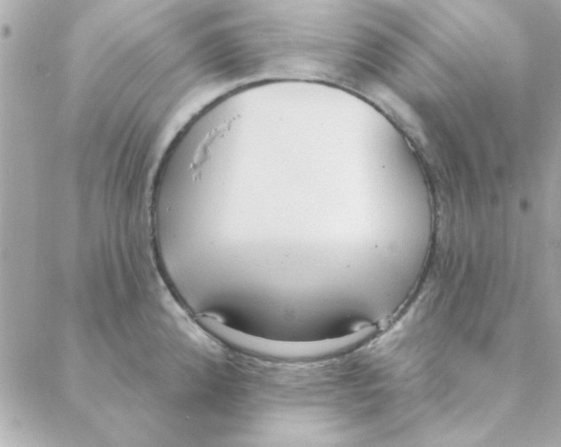 X0000088181192200706051134