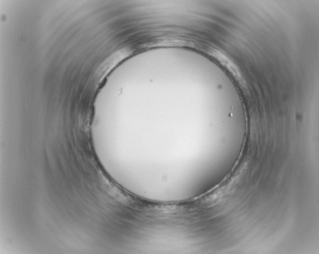 X0000088181193200706051134