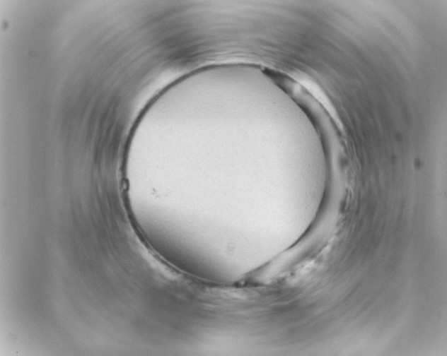 X0000088181197200706051134