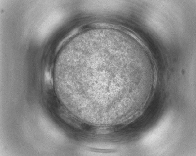 X0000088181198200706051134