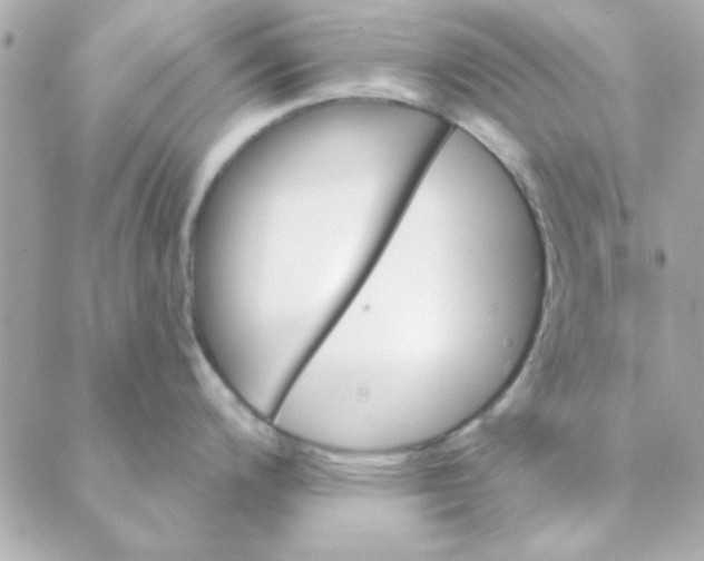 X0000088181200200706051134