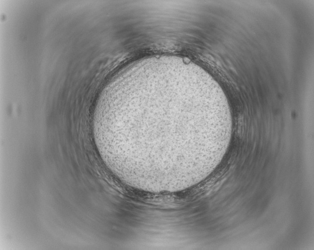 X0000088181201200706051133