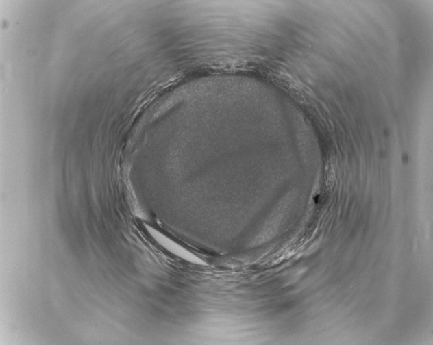 X0000088181202200706051133