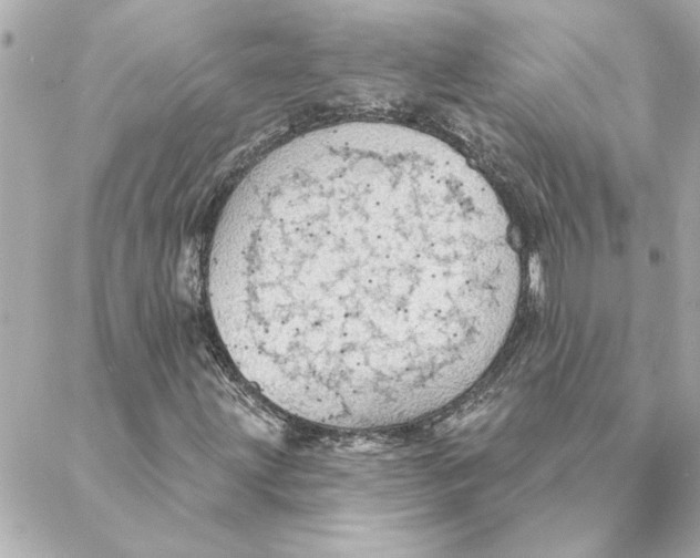 X0000088181203200706051133