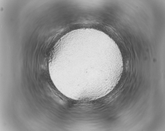 X0000088181204200706051133