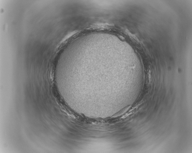 X0000088181206200706051133