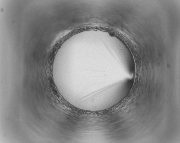 X0000088181207200706051133