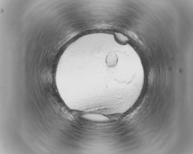 X0000088181209200706051133