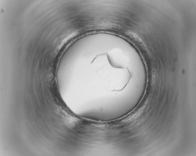 X0000088181210200706051133