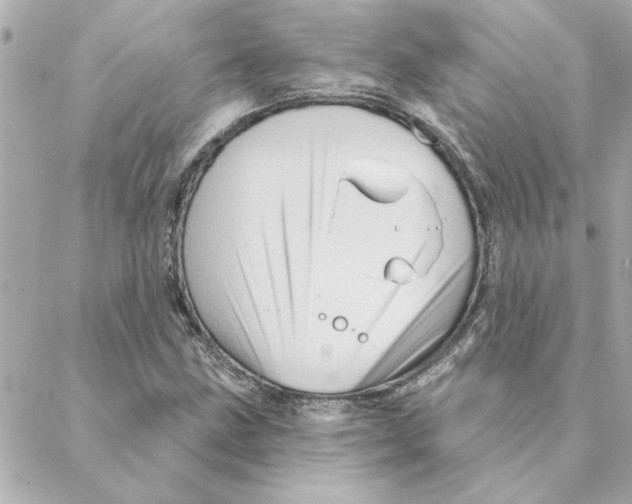 X0000088181211200706051133