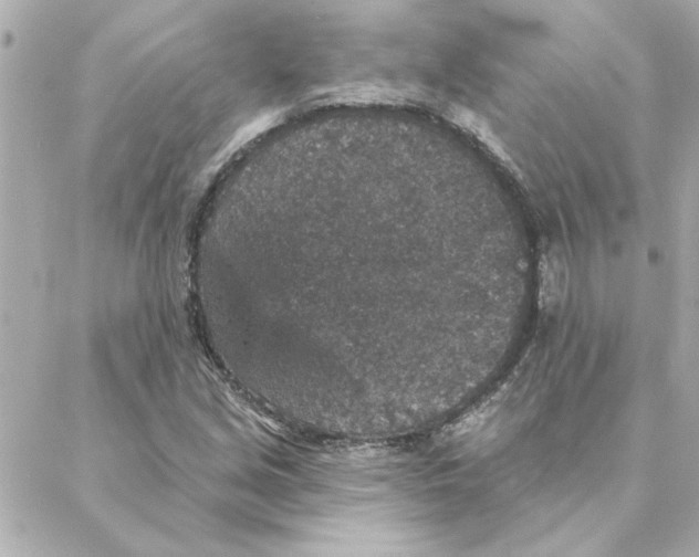 X0000088181213200706051133