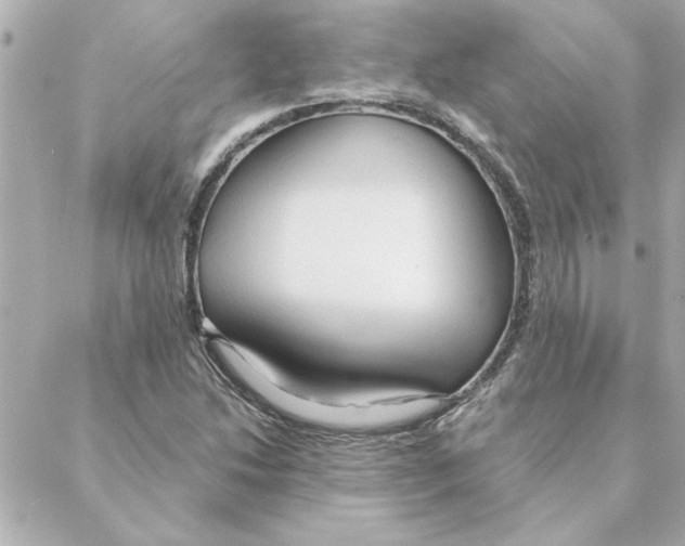 X0000088181214200706051133